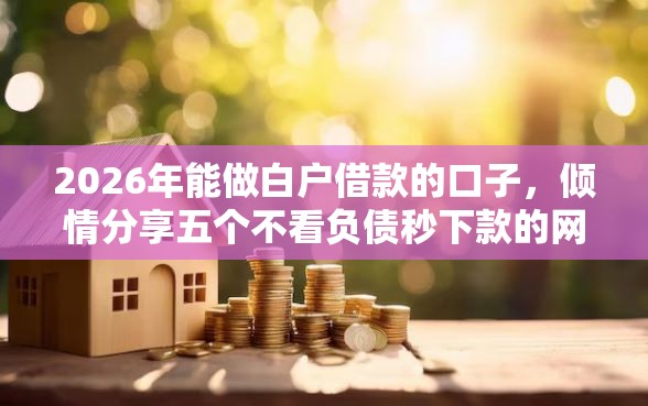 2026年能做白户借款的口子，倾情分享五个不看负债秒下款的网贷软件