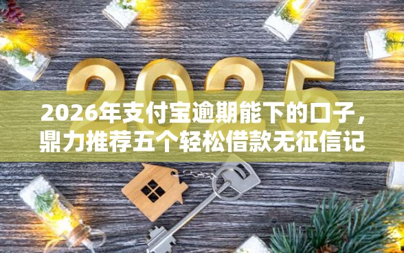 2026年支付宝逾期能下的口子，鼎力推荐五个轻松借款无征信记录的口子