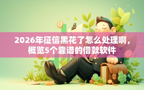 2026年征信黑花了怎么处理啊，概览5个靠谱的借款软件