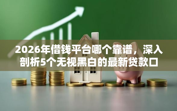 2026年借钱平台哪个靠谱，深入剖析5个无视黑白的最新贷款口子