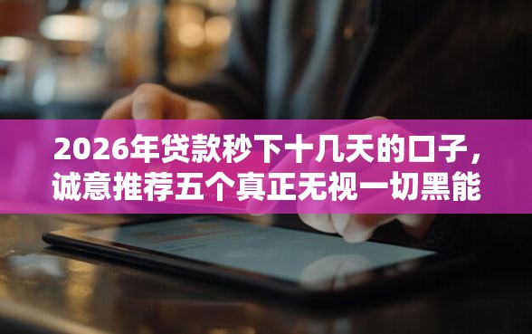 2026年贷款秒下十几天的口子，诚意推荐五个真正无视一切黑能下款口子