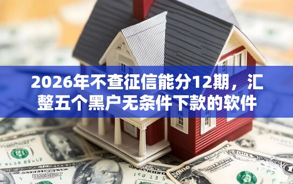 2026年不查征信能分12期，汇整五个黑户无条件下款的软件