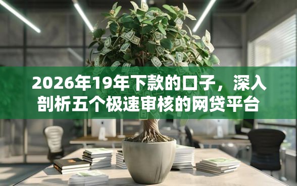 2026年19年下款的口子，深入剖析五个极速审核的网贷平台