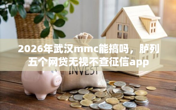 2026年武汉mmc能搞吗，胪列五个网贷无视不查征信app