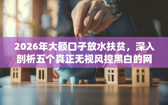 2026年大额口子放水扶贫，深入剖析五个真正无视风控黑白的网贷app