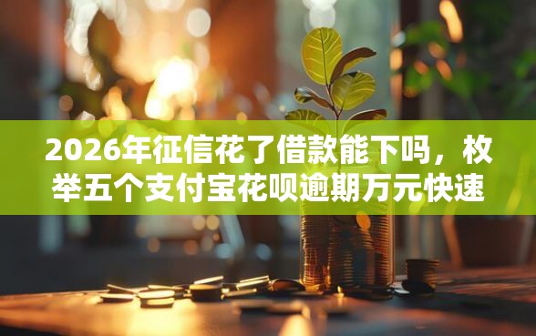 2026年征信花了借款能下吗，枚举五个支付宝花呗逾期万元快速贷款平台