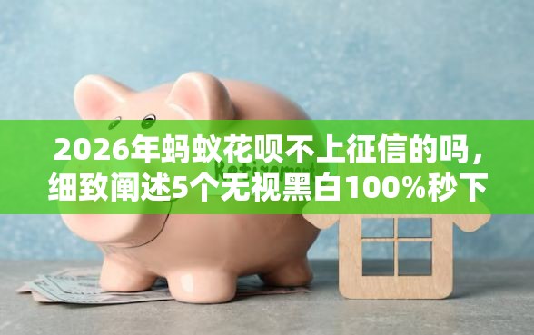 2026年蚂蚁花呗不上征信的吗，细致阐述5个无视黑白100%秒下网贷