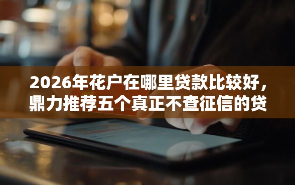 2026年花户在哪里贷款比较好，鼎力推荐五个真正不查征信的贷款口子