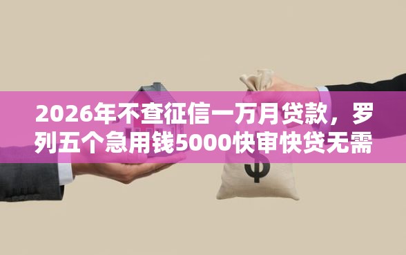 2026年不查征信一万月贷款，罗列五个急用钱5000快审快贷无需征信口子