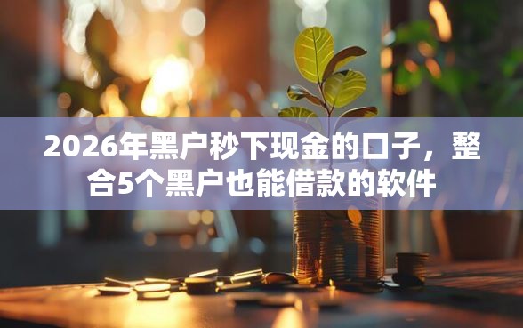 2026年黑户秒下现金的口子，整合5个黑户也能借款的软件