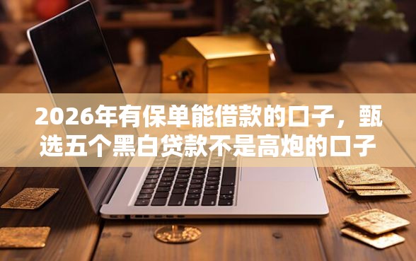 2026年有保单能借款的口子，甄选五个黑白贷款不是高炮的口子