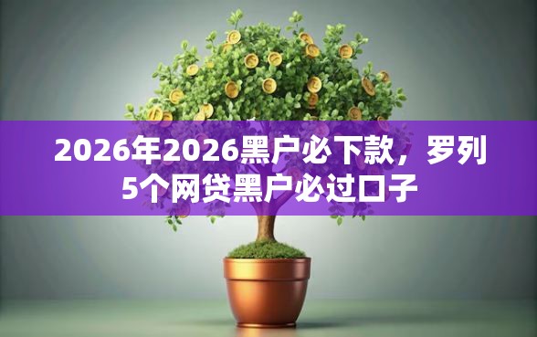 2026年2026黑户必下款，罗列5个网贷黑户必过口子