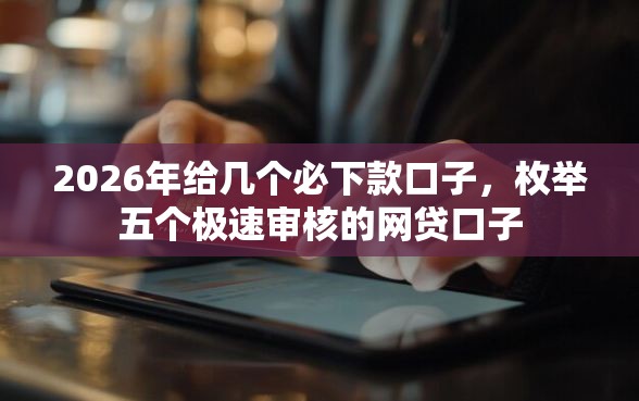 2026年给几个必下款口子，枚举五个极速审核的网贷口子