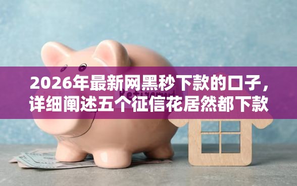 2026年最新网黑秒下款的口子，详细阐述五个征信花居然都下款了的平台