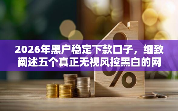 2026年黑户稳定下款口子，细致阐述五个真正无视风控黑白的网贷软件