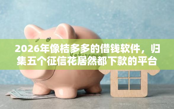 2026年像桔多多的借钱软件，归集五个征信花居然都下款的平台
