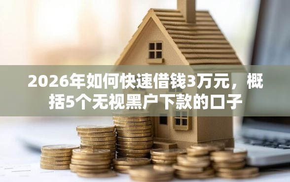 2026年如何快速借钱3万元，概括5个无视黑户下款的口子