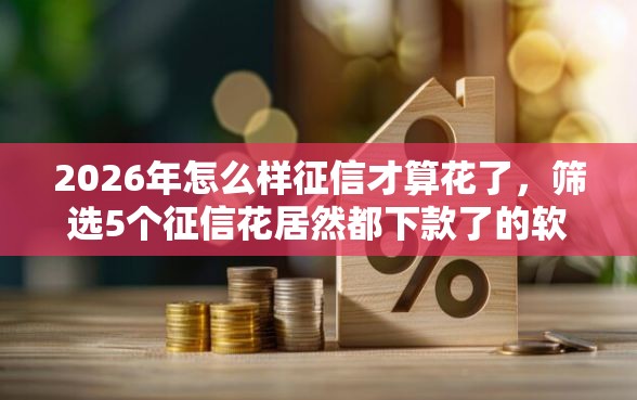 2026年怎么样征信才算花了，筛选5个征信花居然都下款了的软件