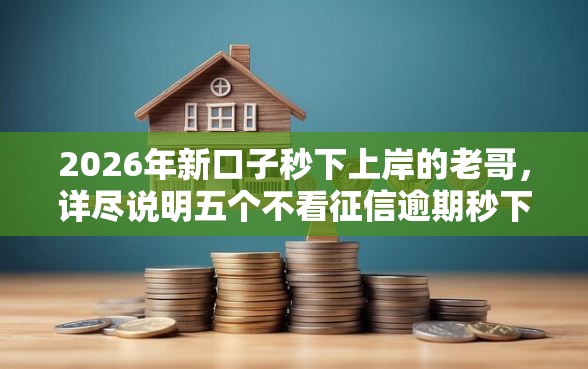 2026年新口子秒下上岸的老哥，详尽说明五个不看征信逾期秒下款的贷款