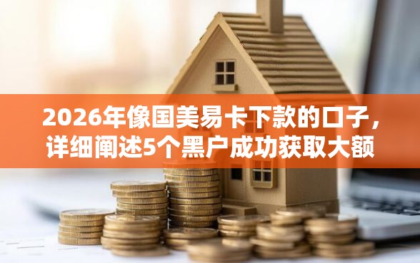 2026年像国美易卡下款的口子，详细阐述5个黑户成功获取大额贷款的软件