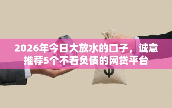 2026年今日大放水的口子，诚意推荐5个不看负债的网贷平台
