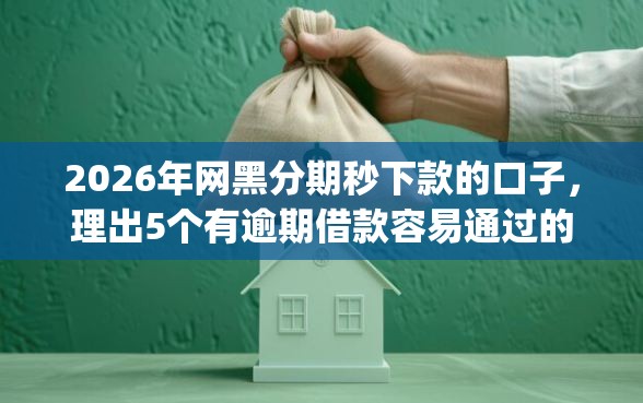 2026年网黑分期秒下款的口子，理出5个有逾期借款容易通过的app