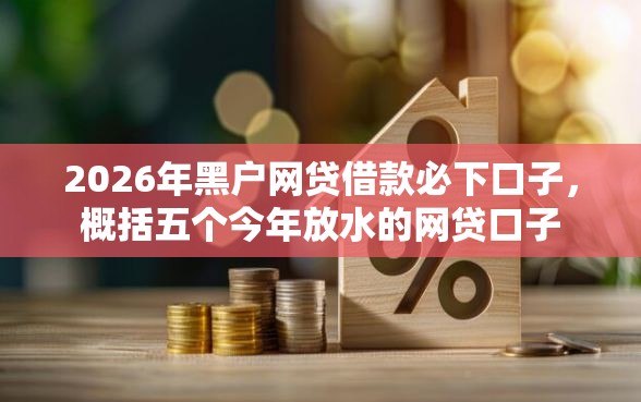 2026年黑户网贷借款必下口子，概括五个今年放水的网贷口子