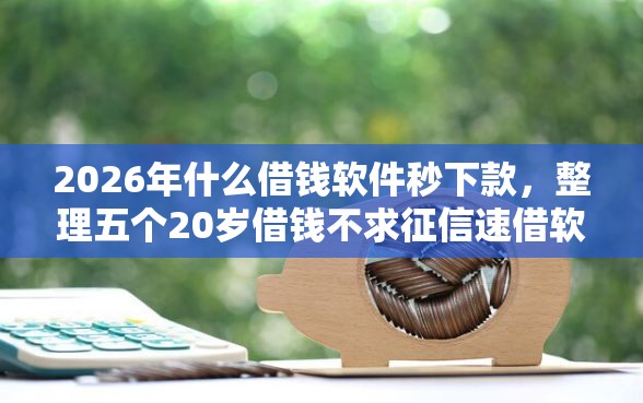 2026年什么借钱软件秒下款，整理五个20岁借钱不求征信速借软件