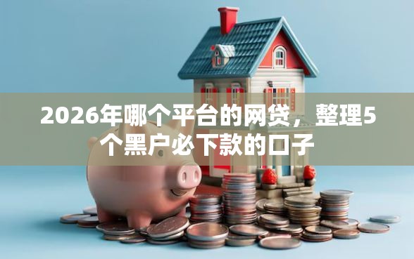 2026年哪个平台的网贷，整理5个黑户必下款的口子