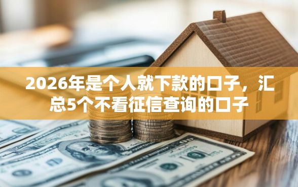 2026年是个人就下款的口子，汇总5个不看征信查询的口子