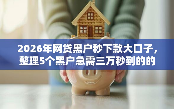 2026年网贷黑户秒下款大口子，整理5个黑户急需三万秒到的的口子