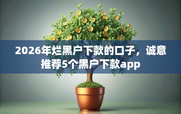 2026年烂黑户下款的口子，诚意推荐5个黑户下款app