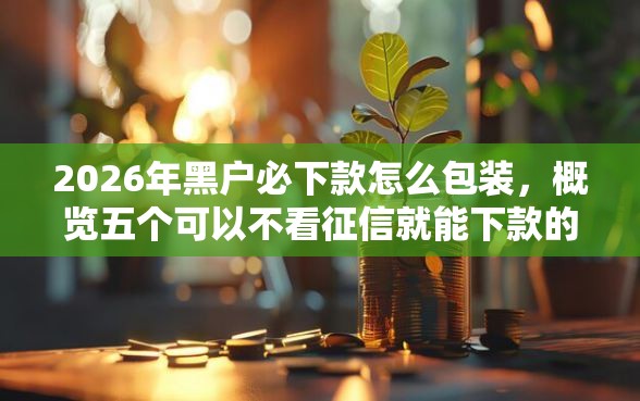 2026年黑户必下款怎么包装，概览五个可以不看征信就能下款的口子