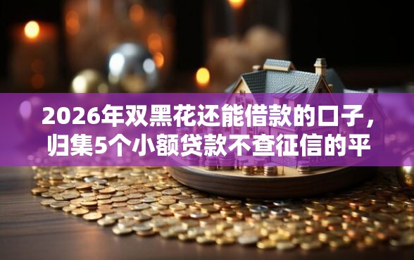 2026年双黑花还能借款的口子，归集5个小额贷款不查征信的平台