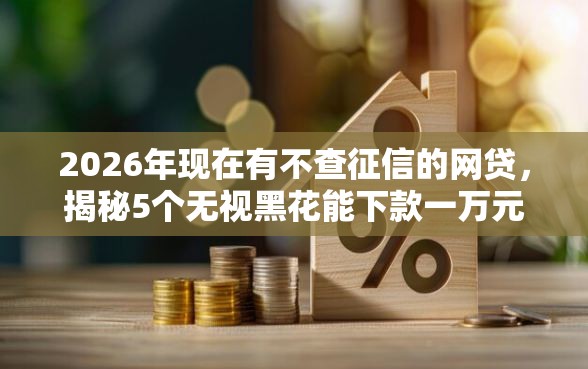 2026年现在有不查征信的网贷，揭秘5个无视黑花能下款一万元口子