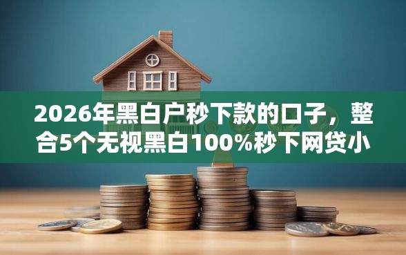 2026年黑白户秒下款的口子，整合5个无视黑白100%秒下网贷小额夜间口子