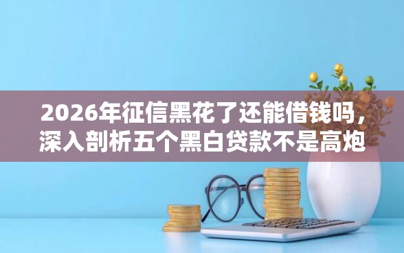 2026年征信黑花了还能借钱吗，深入剖析五个黑白贷款不是高炮的软件