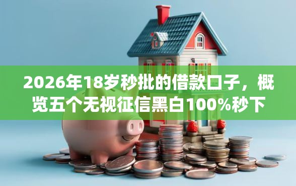 2026年18岁秒批的借款口子，概览五个无视征信黑白100%秒下网贷app