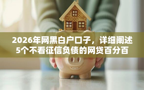 2026年网黑白户口子，详细阐述5个不看征信负债的网贷百分百下款软件