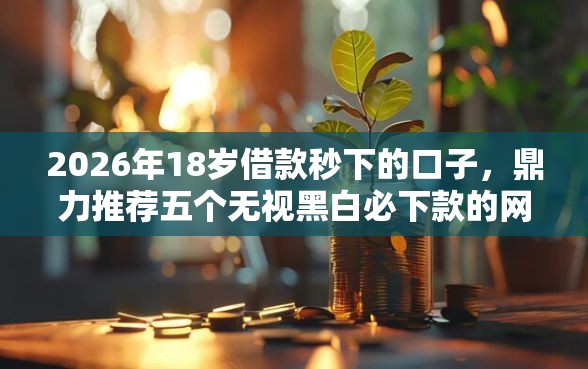 2026年18岁借款秒下的口子，鼎力推荐五个无视黑白必下款的网贷软件