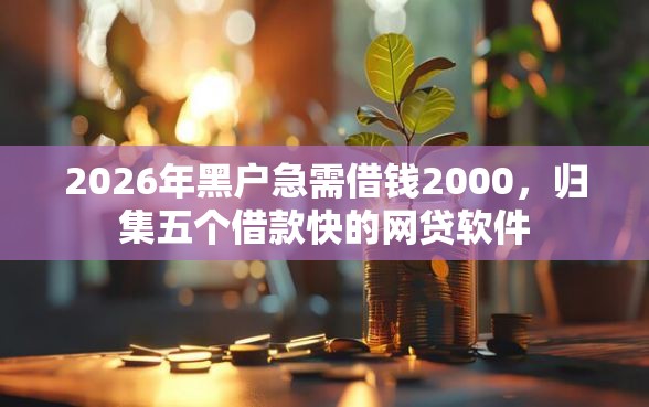 2026年黑户急需借钱2000，归集五个借款快的网贷软件