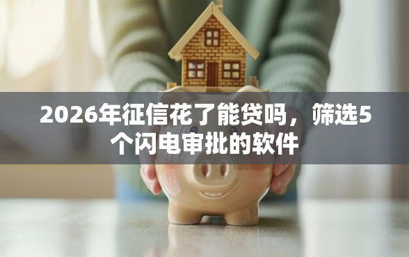 2026年征信花了能贷吗，筛选5个闪电审批的软件