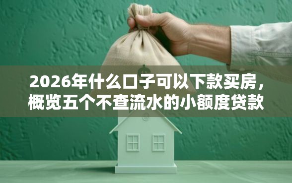 2026年什么口子可以下款买房，概览五个不查流水的小额度贷款平台