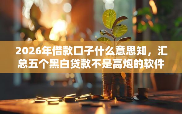 2026年借款口子什么意思知，汇总五个黑白贷款不是高炮的软件