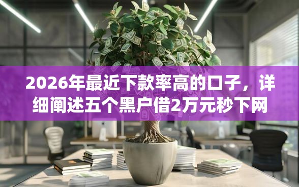 2026年最近下款率高的口子，详细阐述五个黑户借2万元秒下网贷口子app