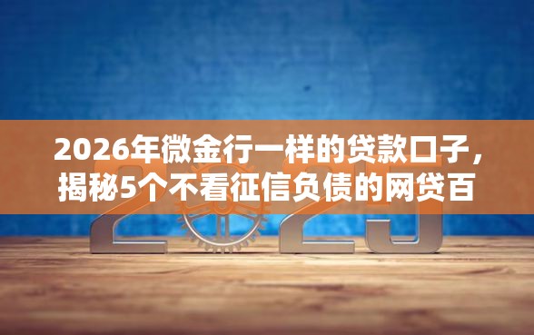2026年微金行一样的贷款口子，揭秘5个不看征信负债的网贷百分百下款口子