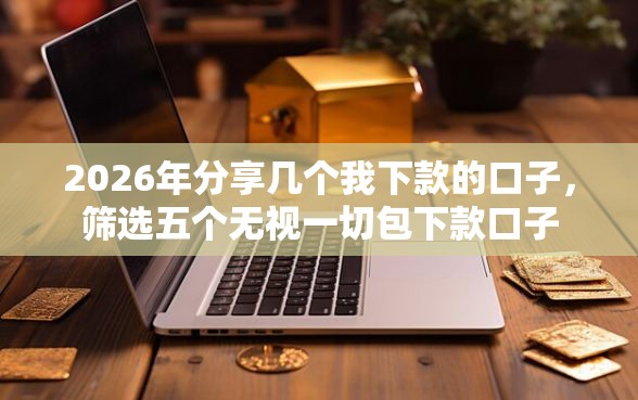 2026年分享几个我下款的口子，筛选五个无视一切包下款口子