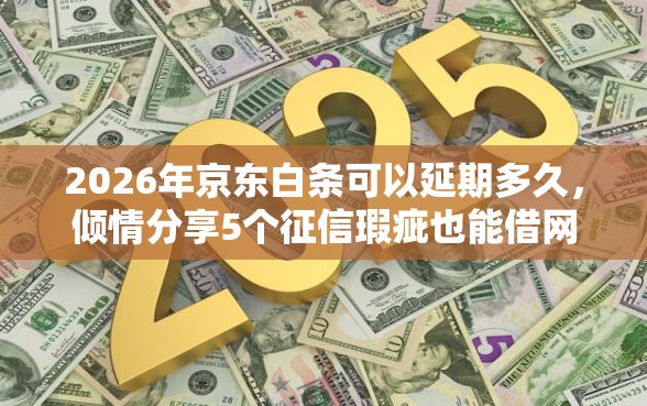 2026年京东白条可以延期多久，倾情分享5个征信瑕疵也能借网贷轻松下款的口子