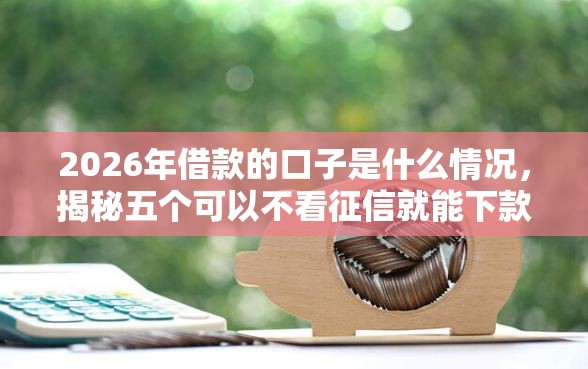2026年借款的口子是什么情况，揭秘五个可以不看征信就能下款的软件