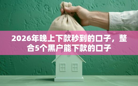 2026年晚上下款秒到的口子，整合5个黑户能下款的口子